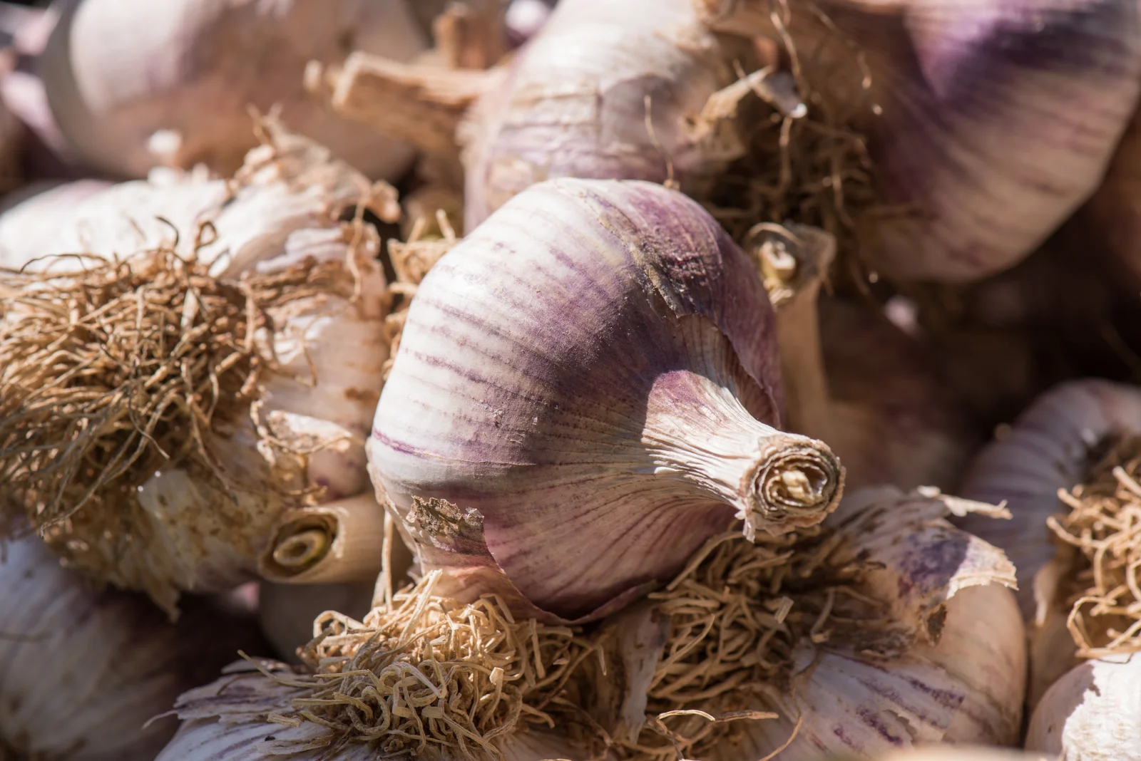 Calendrier des fruits et légumes de saison mois par mois